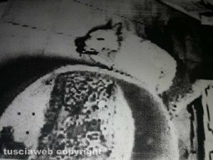 Nuvola, le foto scattate subito dopo l'uccisione e finite nel fascicolo della procura
