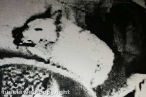 Nuvola, le foto scattate subito dopo l'uccisione e finite nel fascicolo della procura