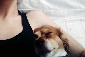 Vallerano - Il piccolo Willy