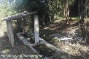 Graffignano - La fontana del Pisciarello nell'incuria