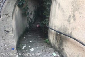 Viterbo - I bagni pubblici di via Cesare Dobici nel degrado