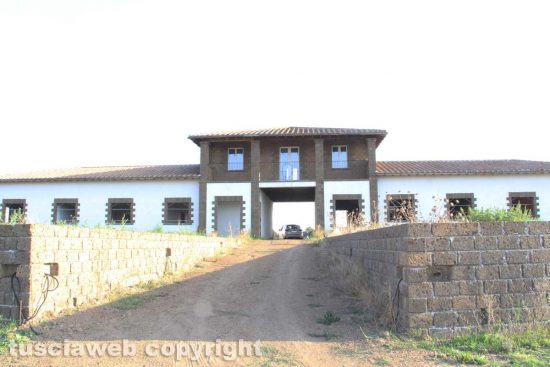 Viterbo - Il campo delle rose