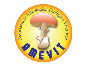 Amevit - Associazione micologica ecologica viterbese