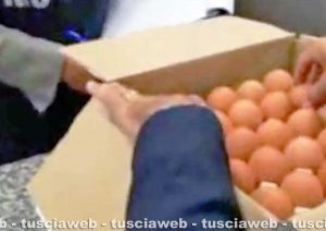 Vetralla - Uova al Fipronil - I sequestri dei Nas