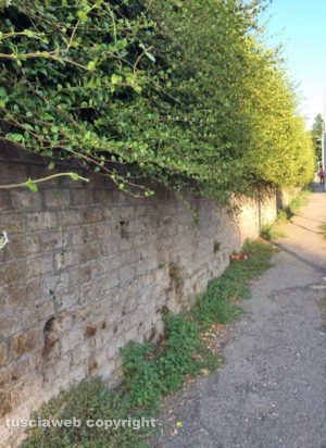 Viterbo - Il degrado a via della Pila 
