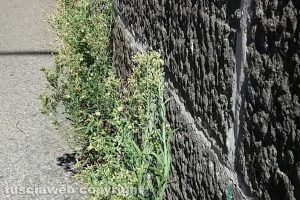 Viterbo - Incuria a ridosso del passaggio a livello