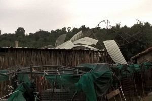 Il capannone divelto dalla tromba d'aria in strada Carcarelle