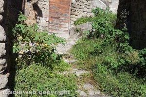 Viterbo - Via Delle Mole invasa dalle erbacce