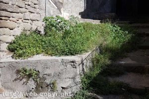 Viterbo - Via Delle Mole invasa dalle erbacce