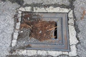 Viterbo - Un tombino otturato