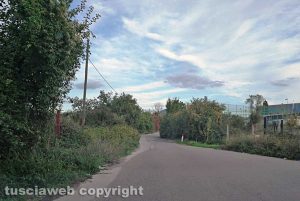 Viterbo - Erba alta e degrado in strada Castiglione