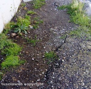 Viterbo - Marciapiede a via Monti Cimini