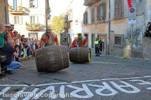 Il palio delle botti