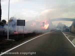 Montalto - Incendio vicino al ponte di legno - Foto di Gaetano Castelli