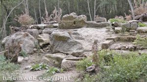 La chiesetta nel bosco