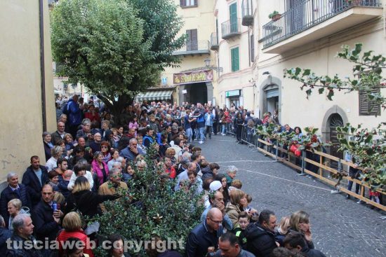 Canepina - Giornate della castagna