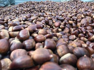 Castagne