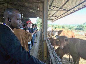 Civita Castellana - Corso di formazione di agroecologia della Schola Campesina