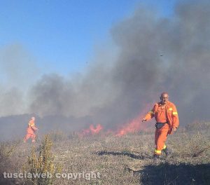 Monte Romano - L'incendio al bosco della Turchina