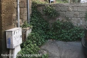Viterbo - La scalinata che da via Sant'Antonio conduce a piazza della Morte