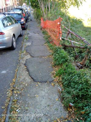 Viterbo - Erbacce e rami secchi in via Belluno