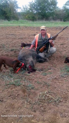 Il cinghiale ucciso da Marco Pianura