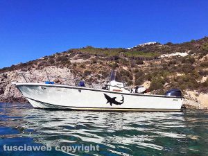 La barca da cui sono state avvistate le due balene all'Argentario, molto più grandi della stessa imbarcazione