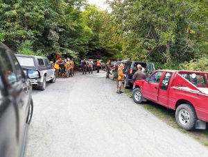 San Martino al Cimino - Battuta di caccia al cinghiale record in località Madonnina dei Cimini