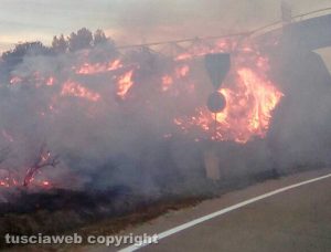 Montalto - Incendio vicino al ponte di legno - Foto di Gaetano Castelli