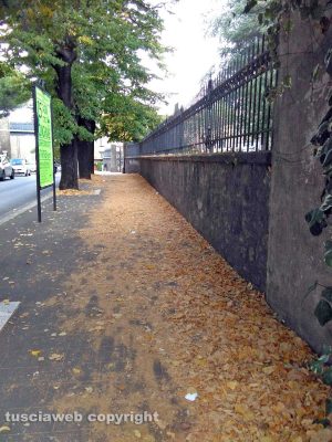 Viterbo - La sporcizia di fronte al'istituto statale per ragionieri