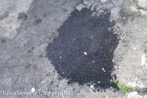 Viterbo - Buche a vicolo di Mezzo