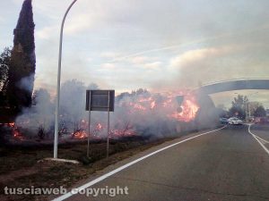 Montalto - Incendio vicino al ponte di legno - Foto di Gaetano Castelli