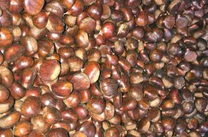 Castagne