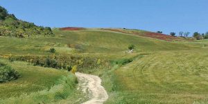 Tarquinia - Valle del Mignone