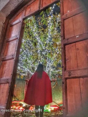 L'albero magico a palazzi degli Alessandri 