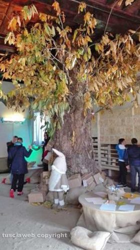 L'albero magico a palazzi degli Alessandri 