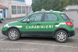Carabinieri forestali
