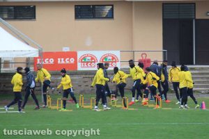 Sport - Calcio - Viterbese - L'allenamento di ieri - La squadra