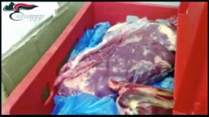 Operazione "Malacarne" - La carne sequestrata dai Nas