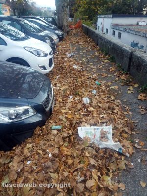 Le foglie arrivando alla stazione di Porta Romana