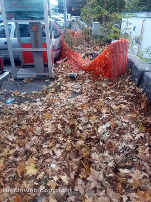 Le foglie arrivando alla stazione di Porta Romana
