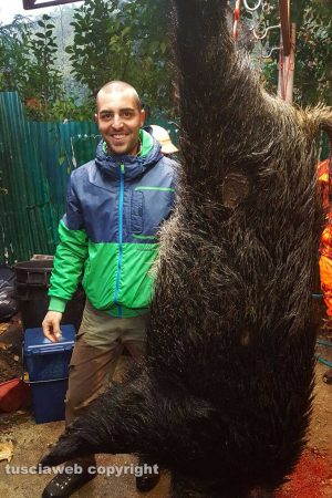 Capranica - Il cinghiale abbattuto da Luigi Carrazza