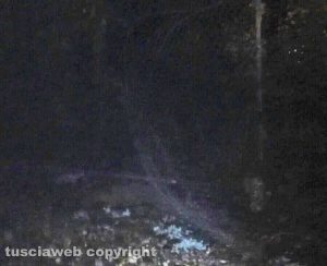 Orte - Sventato furto a un impianto fotovoltaico
