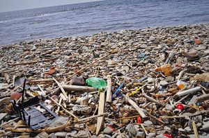 Ambiente - Il progetto di Cirspe e Costa Crociere Foundation