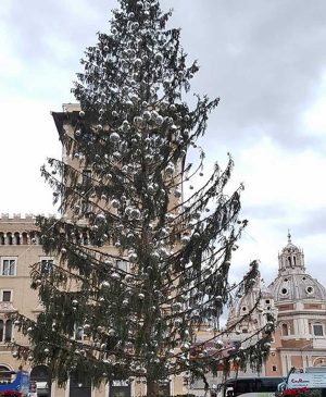 Roma - L'albero di Natale a piazza Venezia