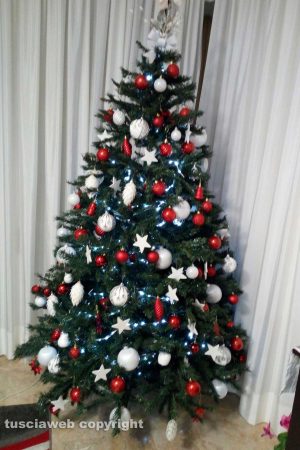 Gallese - L'albero della famiglia Costantini