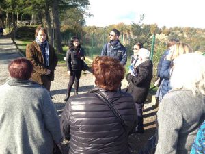 Primi crocieristi a Civita di Bagnoregio