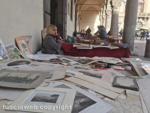Viterbo - Piazza del Comune - Paperonly