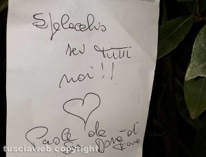 Roma - Biglietti per Spelacchio