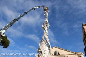 Viterbo - Fiore del cielo a piazza del Teatro